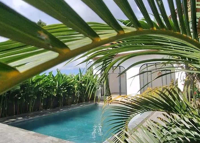 Pondokzavira,a Hidden Sanctuary In Heart Of Canggu アパート *